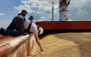 reuters сообщил о прибытии в Сирию судна с украинским зерном - фото - 1