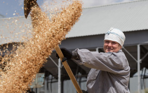 россия во втором полугодии сможет экспортировать до 30 млн тонн зерна - фото - 1