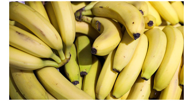 эквадор возобновил сертификацию импортируемых в РФ бананов - фото - 1